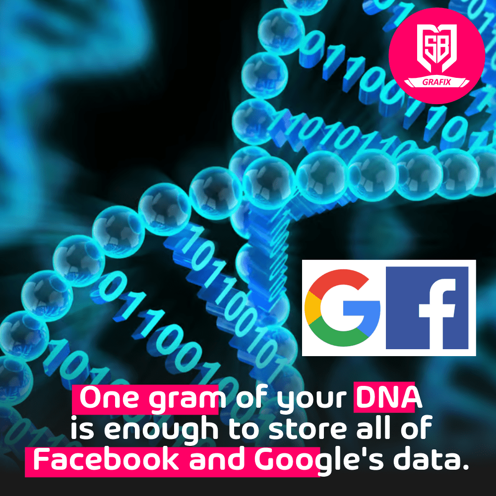 One gram of your DNA is enough to store all of Facebook and Google’s data.